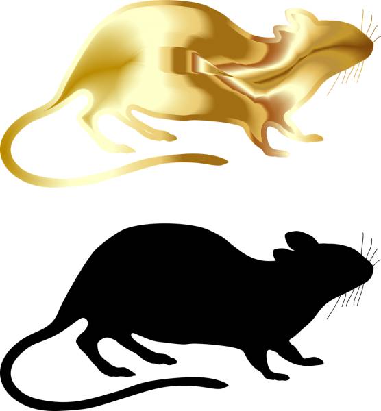 rat rodent silhouette gold chinese  svg vector cut file