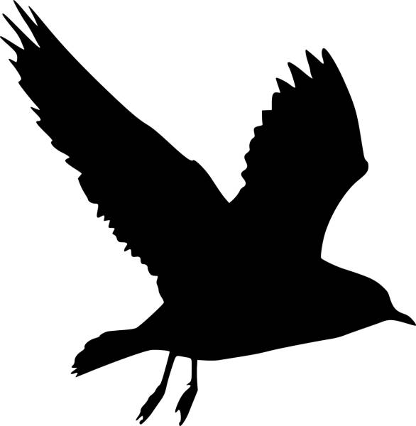 silhouette bird peace dove flying  svg vector cut file
