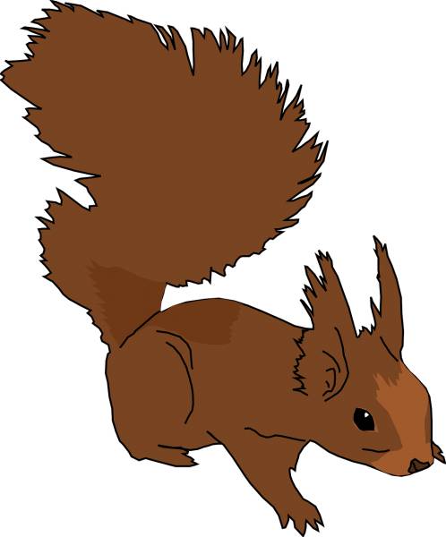 squirrel animal cute rodent fluffy  svg vector cut file