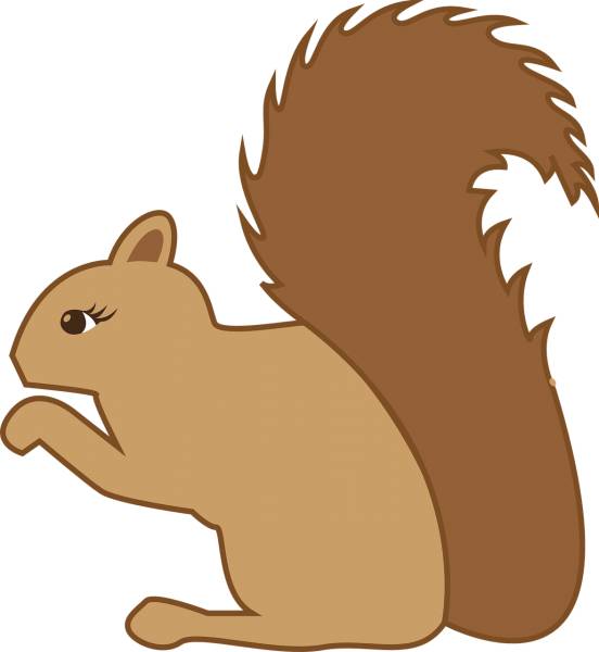 squirrel forest animal animal  svg vector cut file