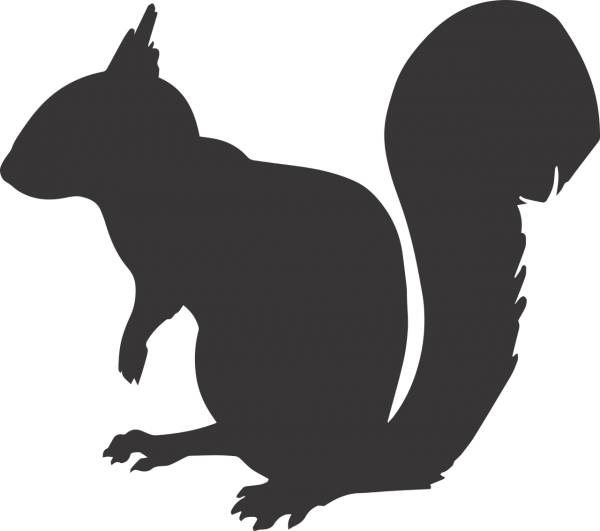 squirrel silhouette animal mammal  svg vector cut file