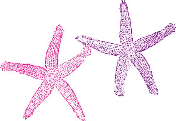 starfish purple pink sea tropical  svg vector cut file