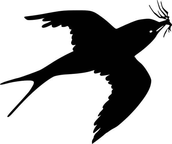swallow martin nesting bird wings  svg vector cut file