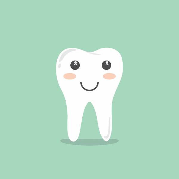 tooth cartoon hygiene cleaning  svg vector cut file