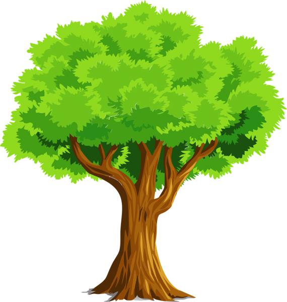 tree nature drawing plant branches  svg vector cut file