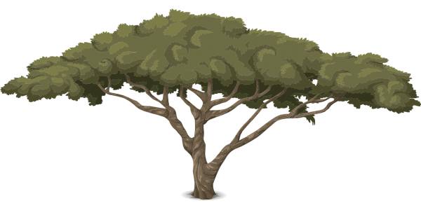 tree trunk nature leaves design  svg vector cut file