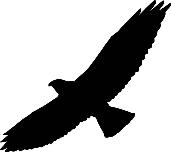 animal bird bird of prey clips  svg vector cut file
