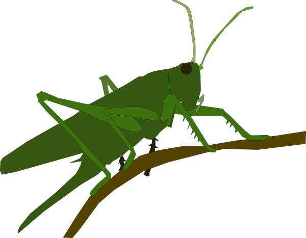 animal grasshopper insect  svg vector cut file