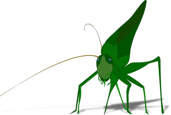 bug insect grasshopper animal legs  svg vector cut file