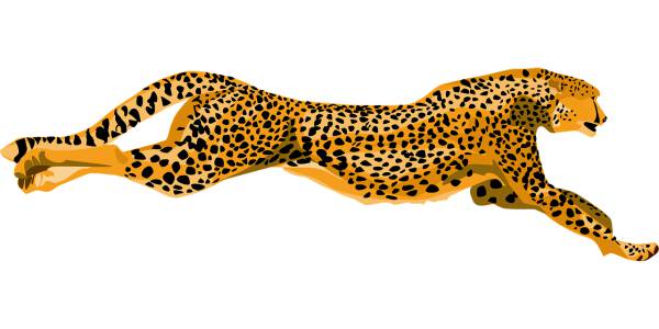 cheetah wildcat fast speed spotted  svg vector cut file