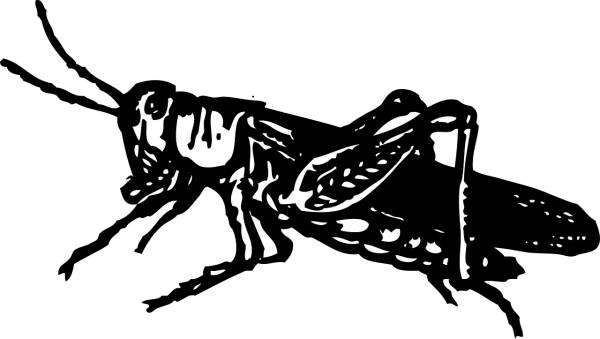 grasshopper black bugs animal hop  svg vector cut file