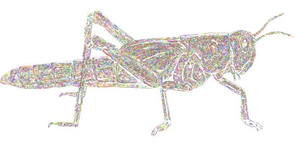 grasshopper cricket line art locust  svg vector cut file