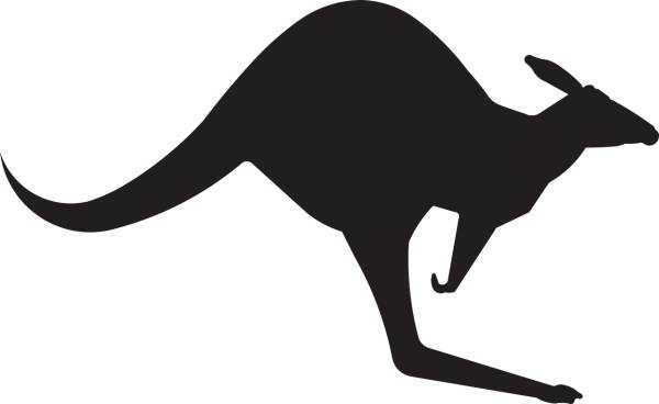 kangaroo animal australia jump  svg vector cut file