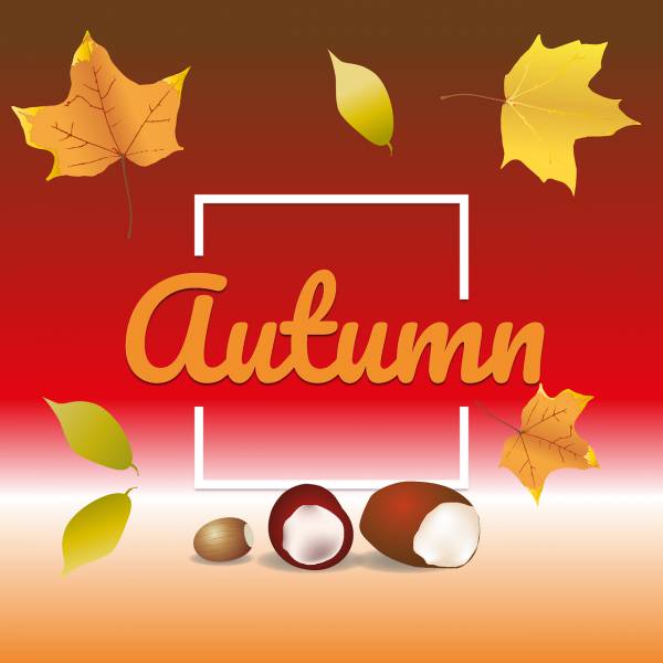 fall season leaf chestnut  svg vector cut file