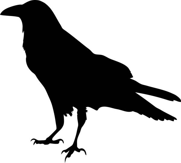 animal bird black crow raven  svg vector cut file