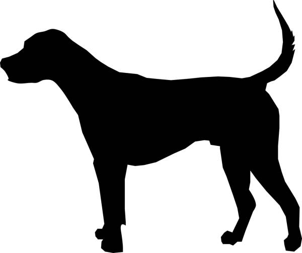 animal dog foxhound mammal nature  svg vector cut file