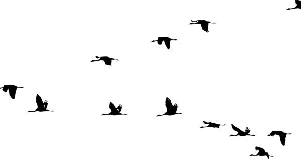 animals birds cranes flying  svg vector cut file