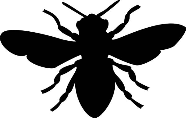 bee black honey insect silhouette  svg vector cut file