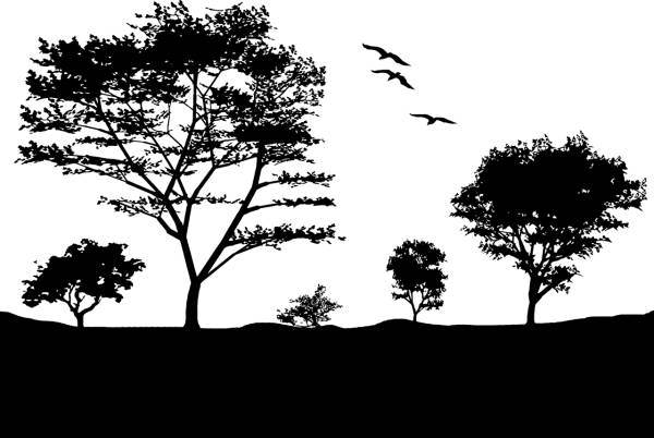 birds landscape silhouette trees  svg vector cut file