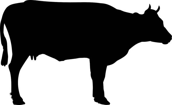 cattle beef cattle cow foot meat  svg vector cut file