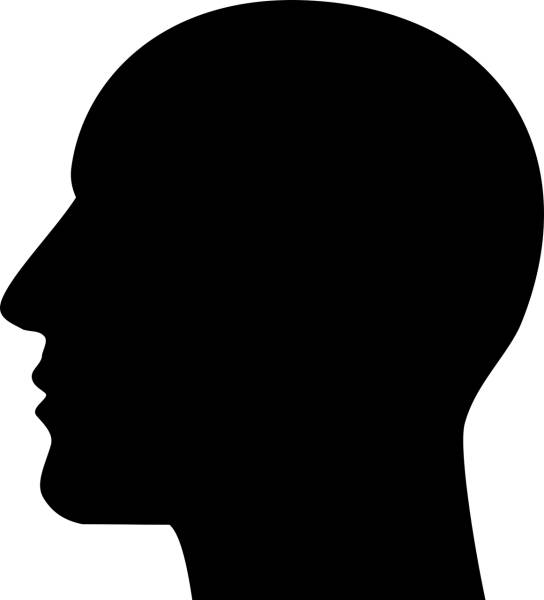 cranium head human male man  svg vector cut file