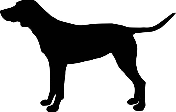 dog doggy animal domestic dog is  svg vector cut file