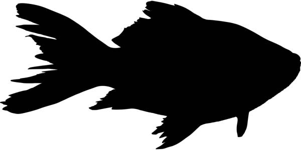 fish animal silhouette sea  svg vector cut file