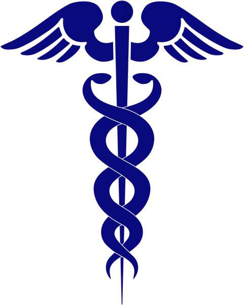 health medicine serpent wings  svg vector cut file