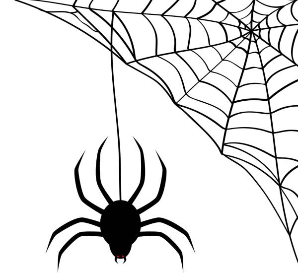 spider web spider web halloween  svg vector cut file