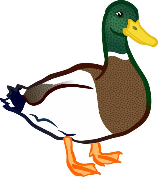 animal bird duck tier vogel duck  svg vector cut file