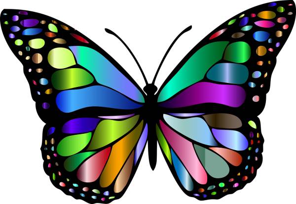 animal butterfly chromatic colorful  svg vector cut file