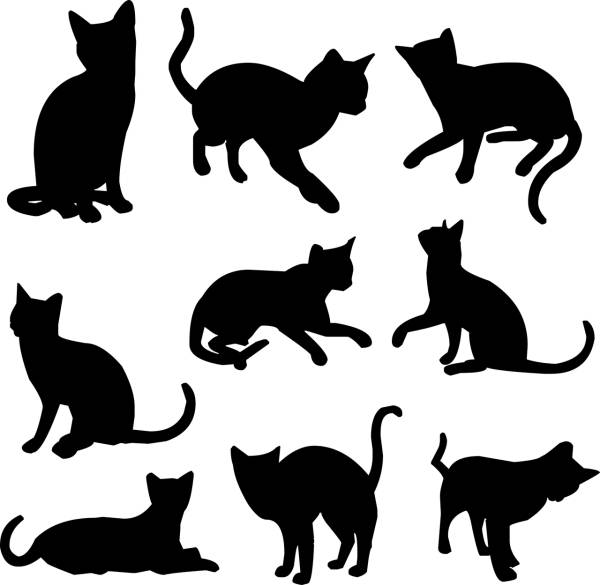 animal cat clips feline kitten  svg vector cut file