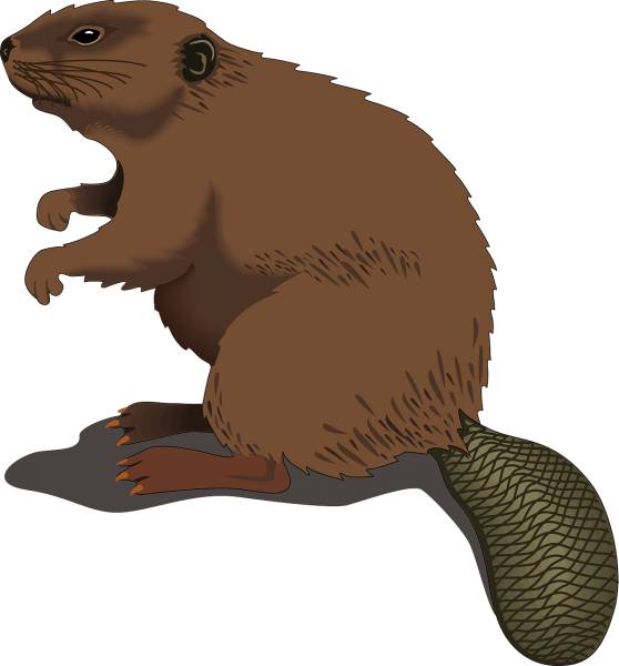 beaver animal rodent mammal  svg vector cut file