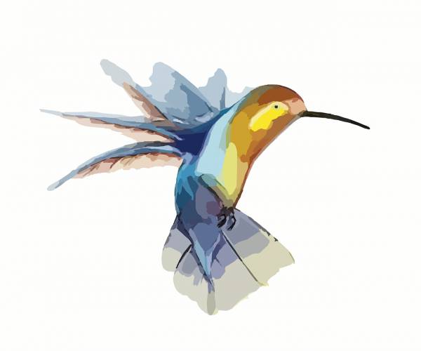 bird hummingbird wings animal  svg vector cut file