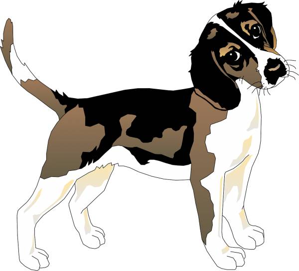 black white dog beagle pet animal  svg vector cut file