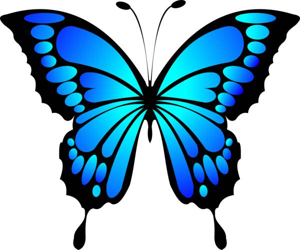 butterfly insect animal  svg vector cut file