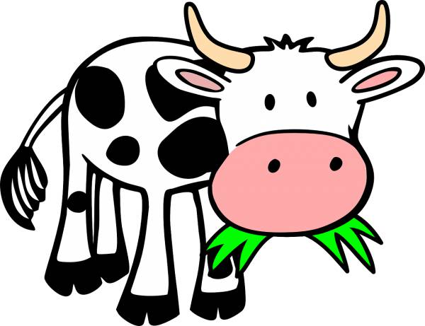 cow grass eating animal cow cow  svg vector cut file