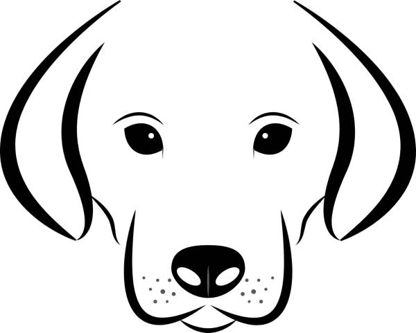 dog head white background labrador  svg vector cut file