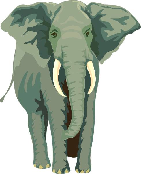 elephant animal wildlife mammal  svg vector cut file