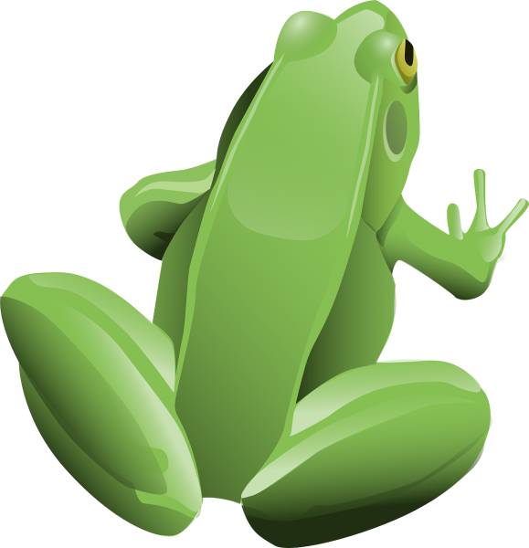 frog amphibian animal tree frog  svg vector cut file