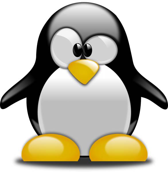penguin confused cartoon bird  svg vector cut file