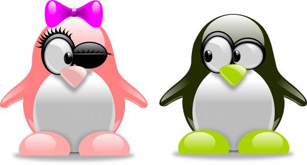 penguins art amorous love tux  svg vector cut file