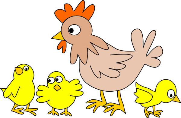poultry chicken animal bird farm  svg vector cut file