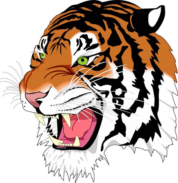 sumatran tiger tiger man eater  svg vector cut file