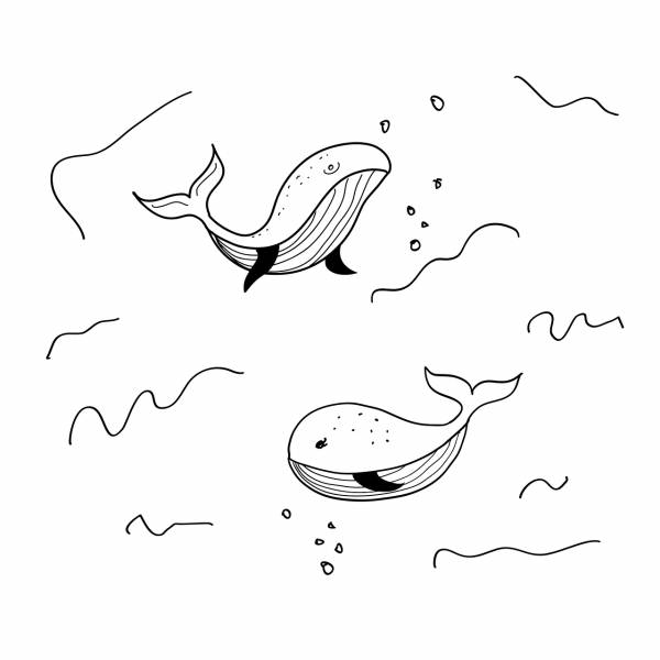 whale drawing fish sea animal  svg vector cut file