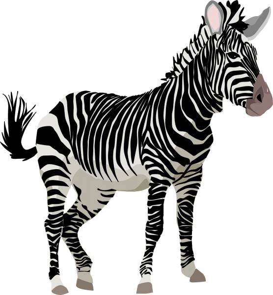 zebra animal wildlife equine  svg vector cut file