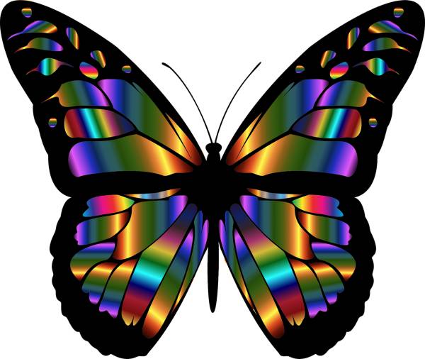 abstract animal art butterfly  svg vector cut file
