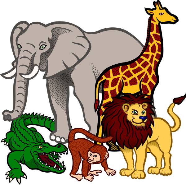 africa animal animals books del sur  svg vector cut file
