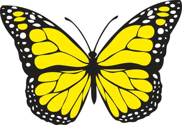 animal butterfly design insect  svg vector cut file