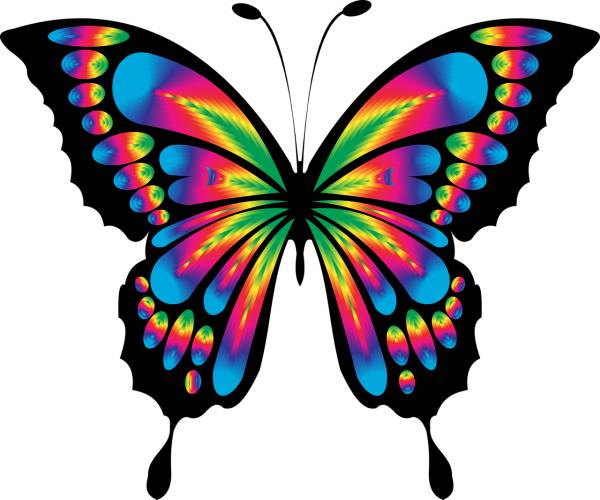 butterfly insect chromatic colorful  svg vector cut file